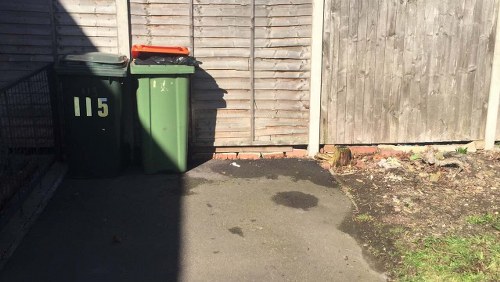 Steps in professional business waste removal
